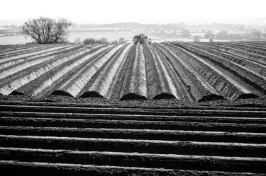 Ploughed Field (ChromaLuxe Metal Print) Ready to Hang (XL) thumb