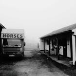 Stables in Fog (LARGE) by Pete Edmunds