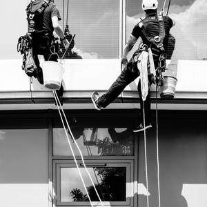 Collection The Window Cleaners