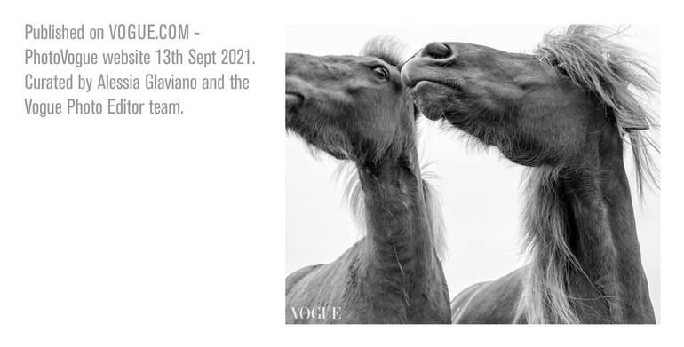 Original Portraiture Horse Photography by Pete Edmunds