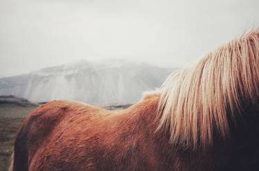 BACK STORY (Icelandic Horse) XL thumb