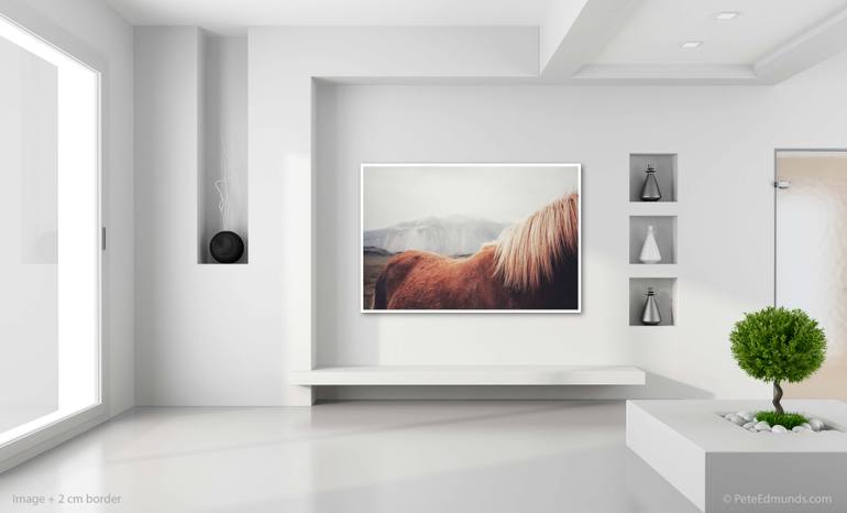Original Documentary Horse Photography by Pete Edmunds
