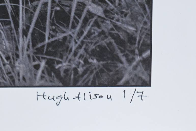 Original Black & White Nude Photography by Hugh Alison