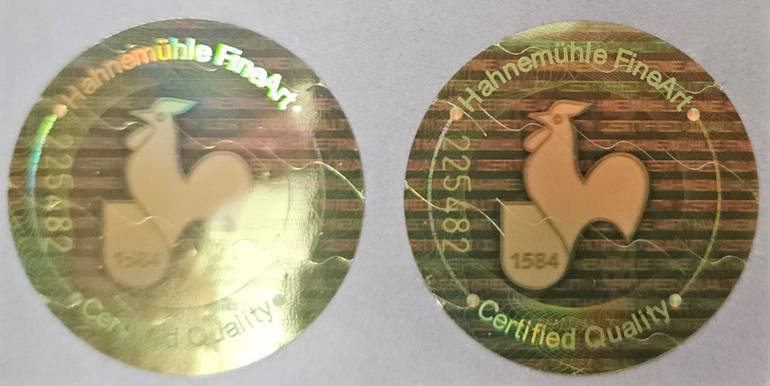 Original Black & White Nude Photography by Hugh Alison