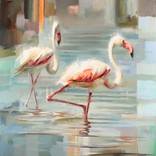 Sardinian Flamingos by Johnny Morant