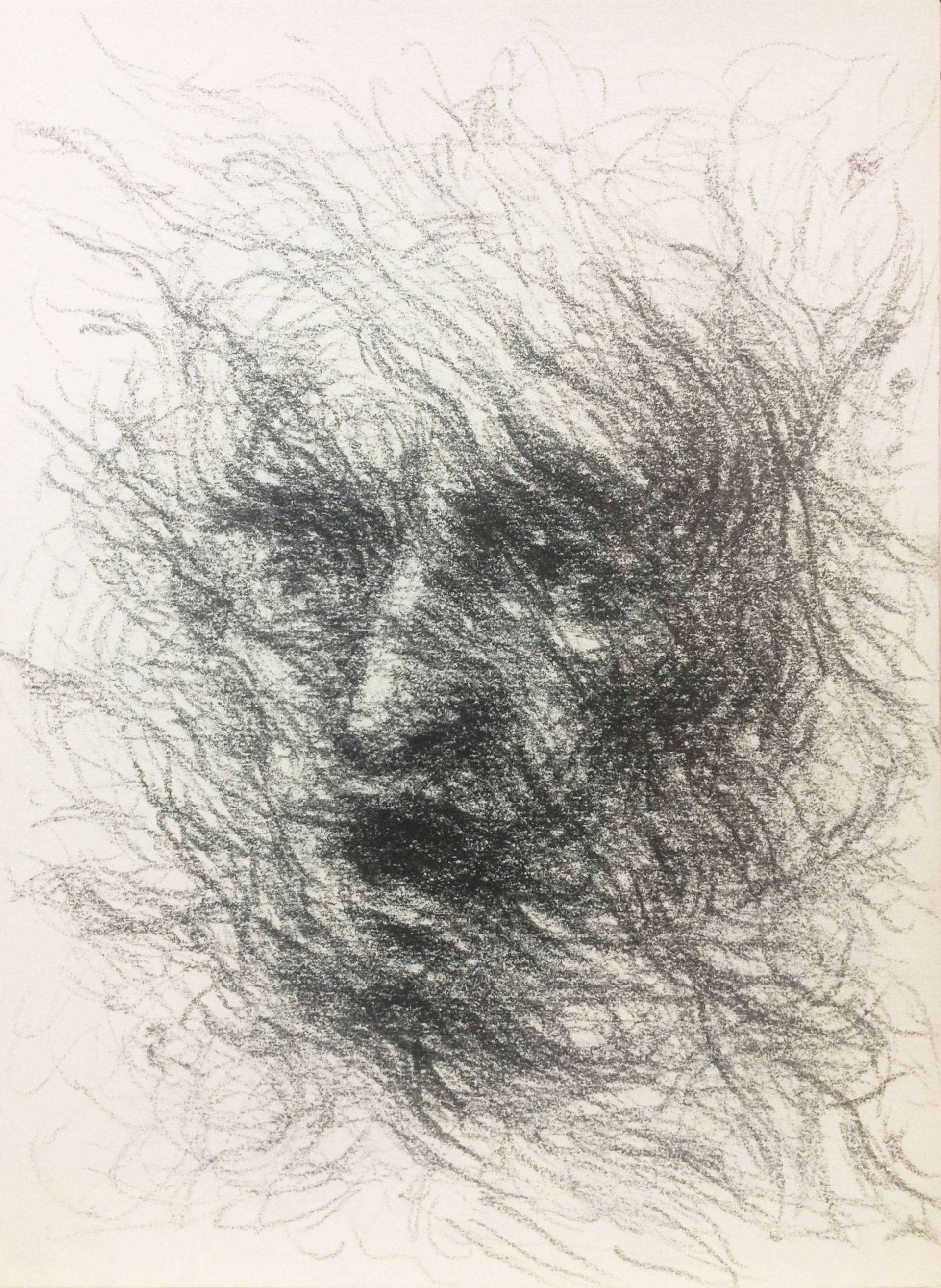 Deep Emotions Drawing by Goce Ilievski | Saatchi Art