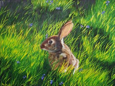 Original Animal Paintings by hazel thomson