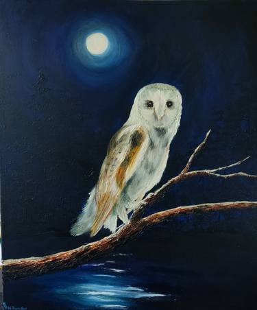 Barn Owl At Night thumb