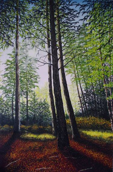 Print of Fine Art Tree Paintings by hazel thomson