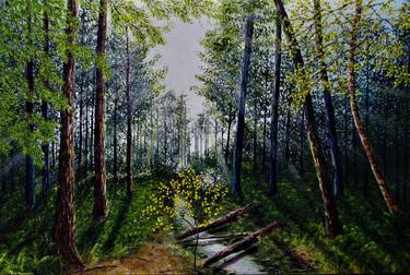 Original Landscape Paintings by hazel thomson