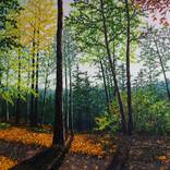 Collection The Other Art Fair October 2025 - Seasonal Shift