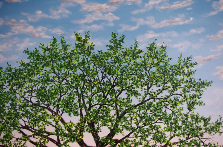 Original Contemporary Landscape Painting by Hazel Thomson