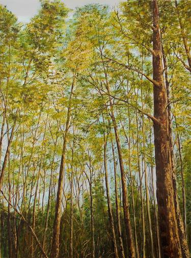 Print of Realism Tree Paintings by hazel thomson