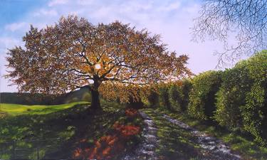 Print of Fine Art Tree Paintings by hazel thomson