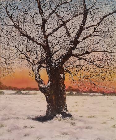 Print of Fine Art Tree Paintings by hazel thomson