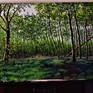 The Late afternoon sun is casting light and shadows right across this magical scene ,illuminating the whole forest. Textured with layers of oil paint by pallet knife and brush