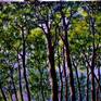 The Late afternoon sun is casting light and shadows right across this magical scene ,illuminating the whole forest. Textured with layers of oil paint by pallet knife and brush