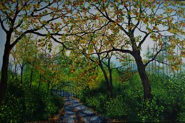 A Walk Through Delamere  61cm x 92cm thumb