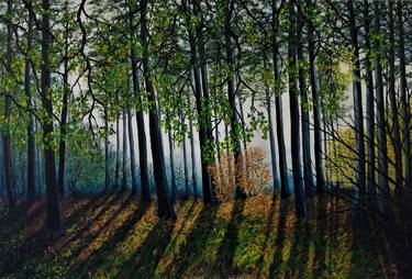 Original Fine Art Tree Paintings by hazel thomson