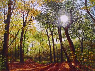 Print of Fine Art Landscape Paintings by hazel thomson