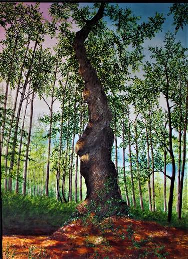 Print of Fine Art Tree Paintings by hazel thomson