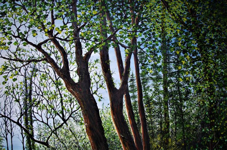Original Expressionism Landscape Painting by Hazel Thomson