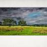 Textured panoramic landscape, of the beginings of a storm brewing, over fields of Gwynedd. There is a contrast between bright sunlight highlighting the feilds and trees and dark clouds starting to form in the sky, giving us a dramatic atmospheric feel to this whole scene .