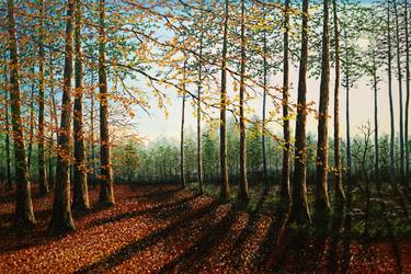 Original Landscape Paintings by hazel thomson
