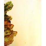 Untitled, 2011 by ART et OBJETS