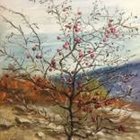 The Gracious Apple Tree by Vladimir Ilievski