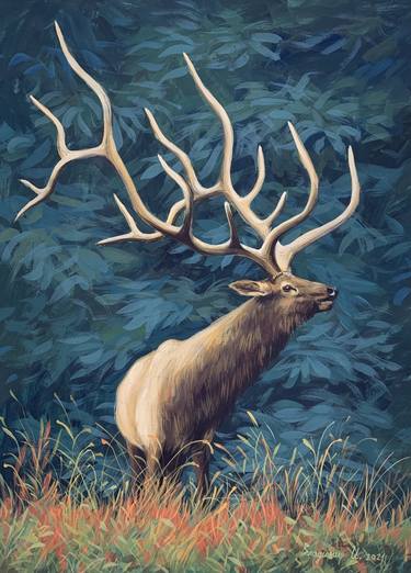 Deer in green forest thumb