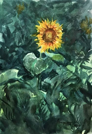Sunflower in green thumb