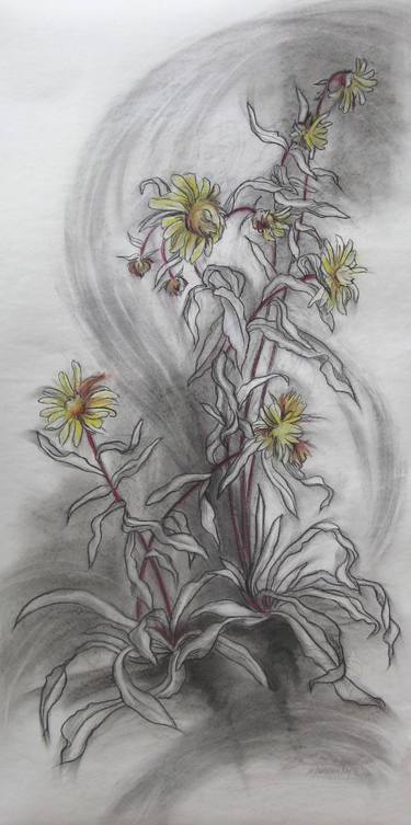 Beach Flowers II, charcoal drawing thumb