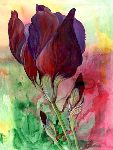 Large Floral Oil Painting, Red Iris I Painting thumb