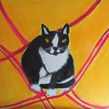 Collection SYLVESTER, THE TUXEDO CAT