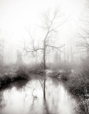 Print of Fine Art Landscape Photography by Louis Wallach