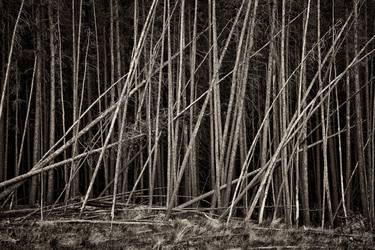 Original Fine Art Landscape Photography by Louis Wallach