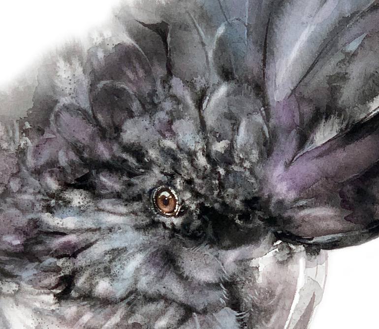 Original Illustration Nature Drawing by Soo Beng Lim