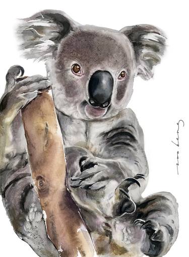 Koala Cuddles thumb