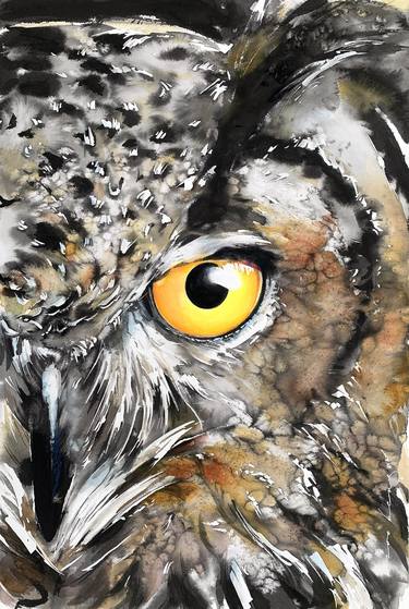 Owl Insight thumb