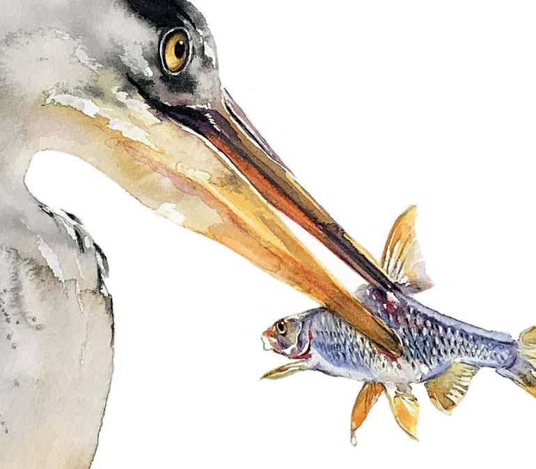 Original Illustration Nature Drawing by Soo Beng Lim