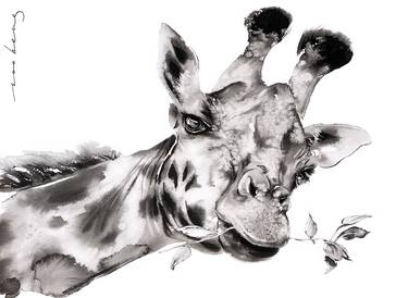 Original Illustration Animal Drawings by Soo Beng Lim