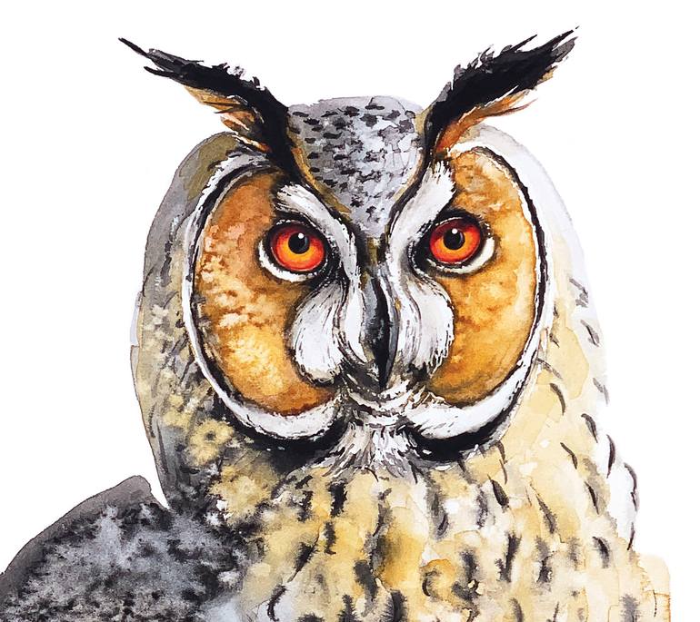 Original Illustration Nature Drawing by Soo Beng Lim