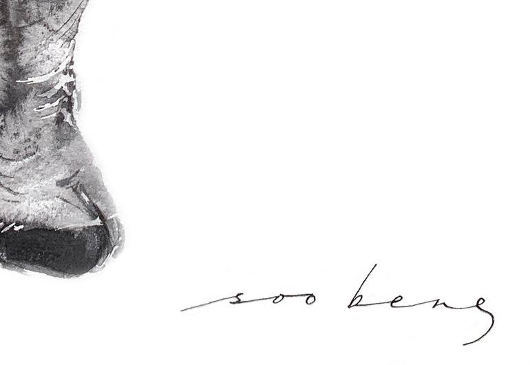 Original Illustration Nature Drawing by Soo Beng Lim