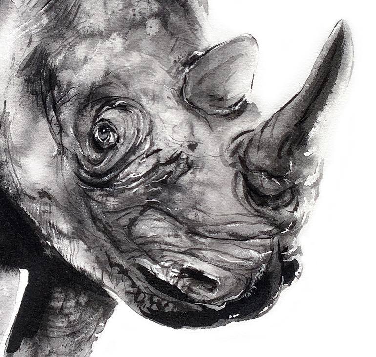 Original Illustration Nature Drawing by Soo Beng Lim