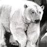 view additional image 1
