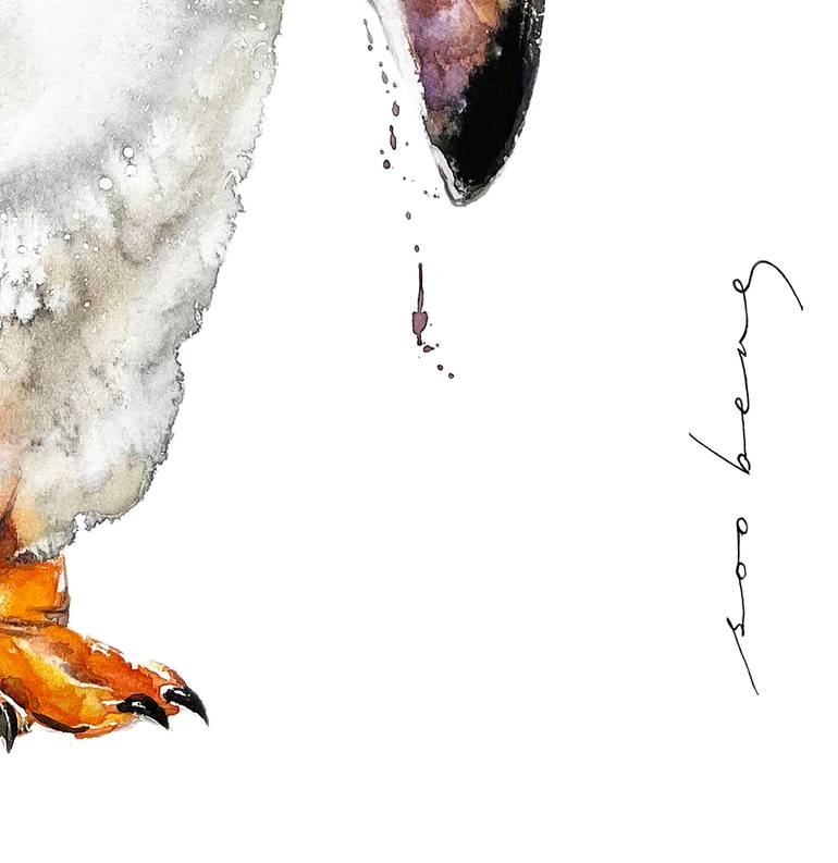 Original Illustration Animal Drawing by Soo Beng Lim