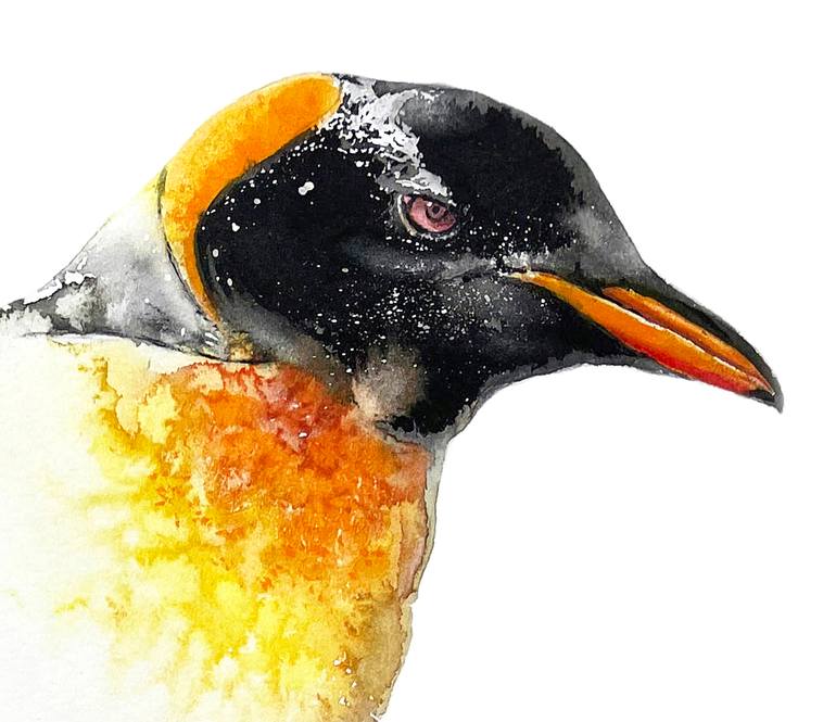 Original Illustration Animal Drawing by Soo Beng Lim