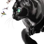 Curious Watcher by Soo Beng Lim