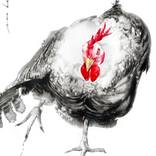 Poultry Pirouette by Soo Beng Lim